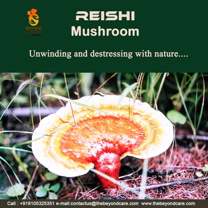 Cordyceps